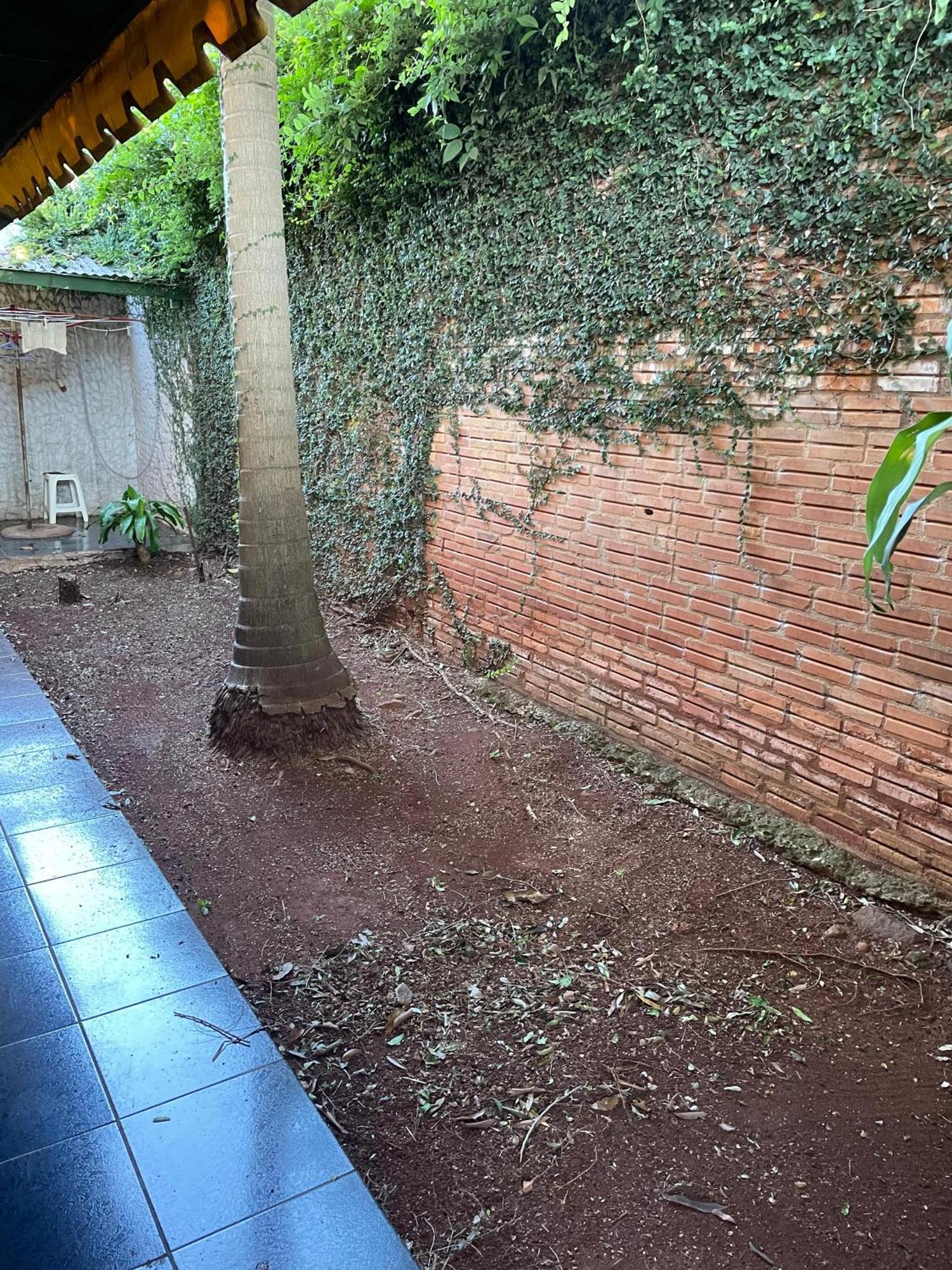 ¡Tucanes Iguazu! ปูแอร์โตอีกวาซู ภายนอก รูปภาพ